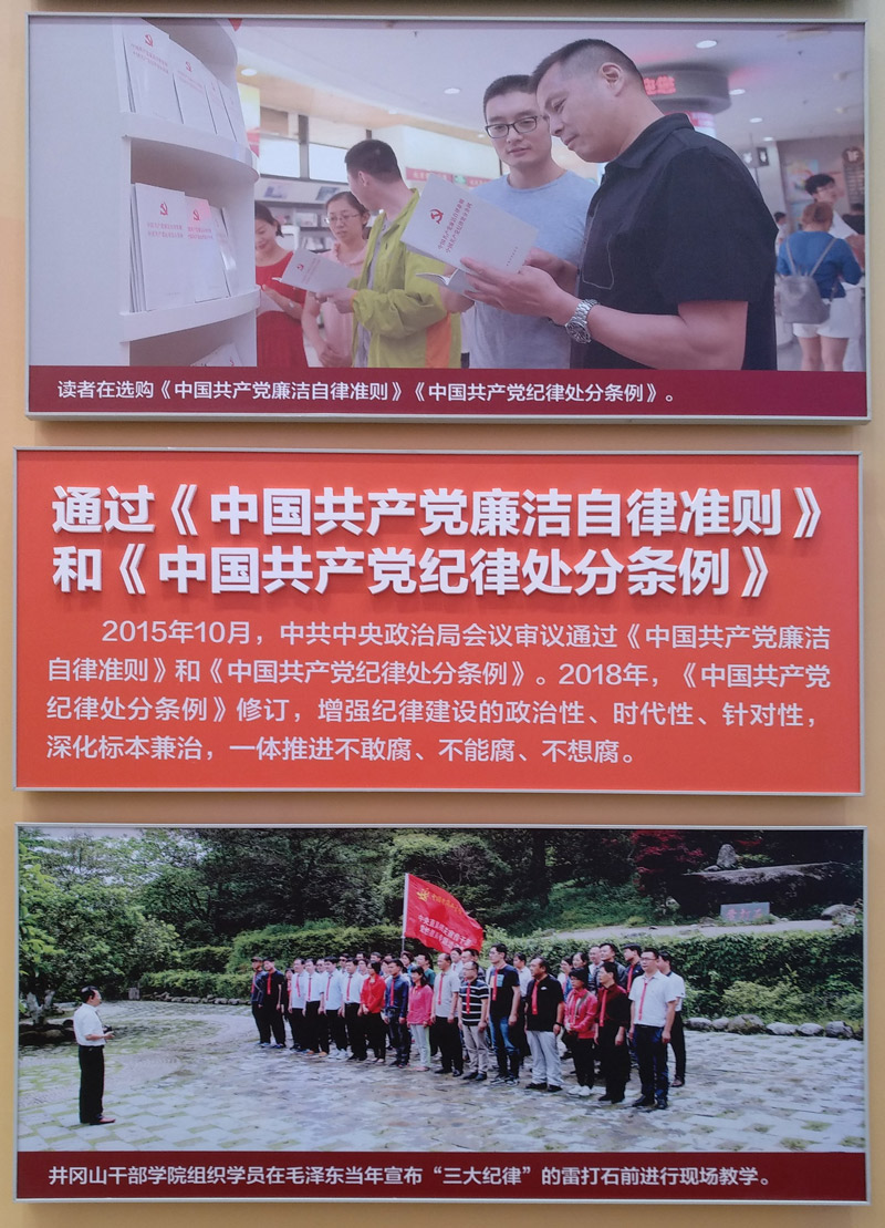 113128730464934243384240332412342225