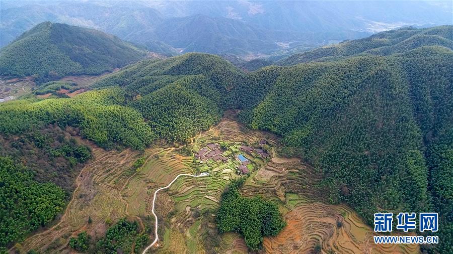 114116371394482912402049213039427124