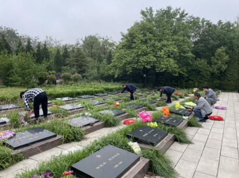 133743443281140174748299265071853315