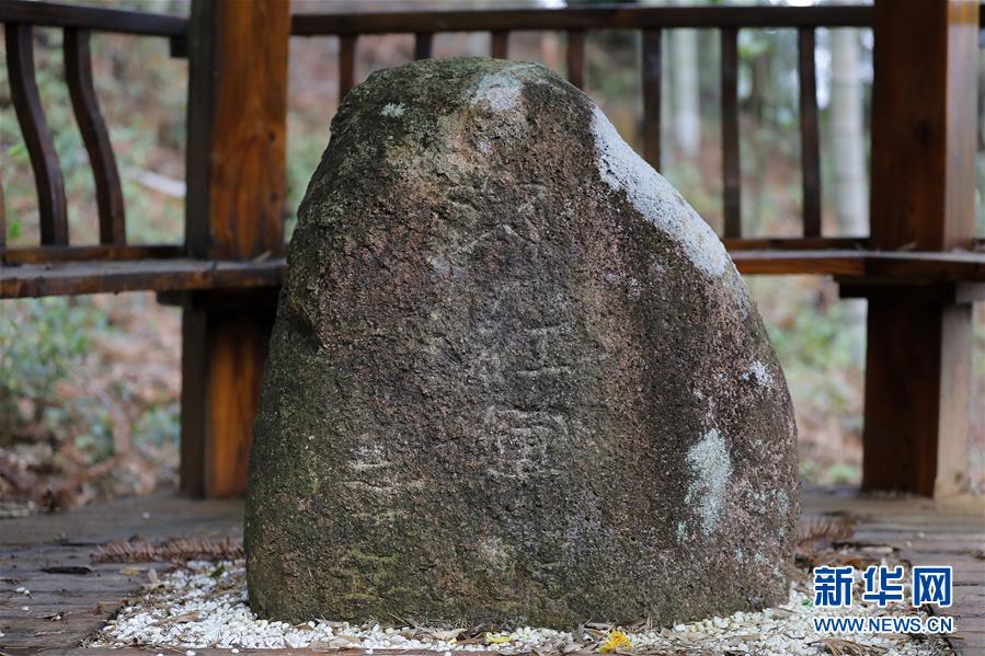 1344143282335391715125313883027454821