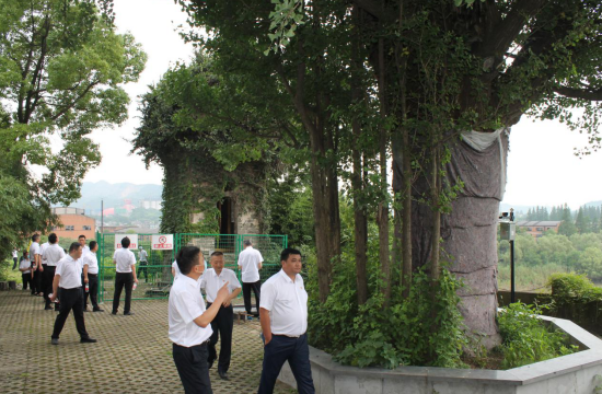 13824121943254726223629302337115463121