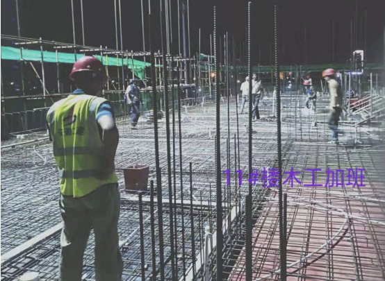 175013162327635731543922982492019