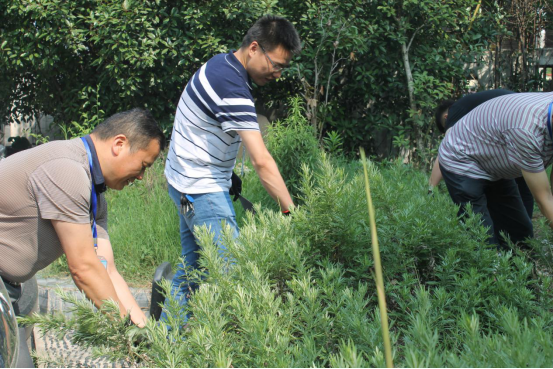 202250811267450383635493964348283710