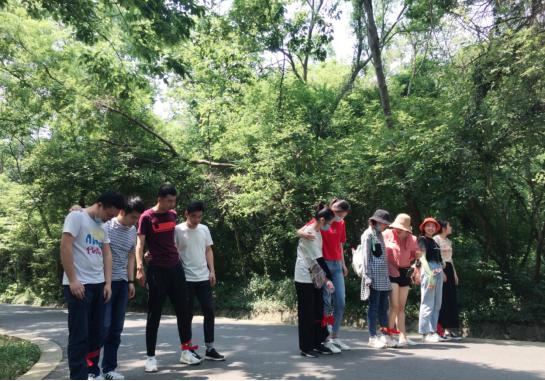 21580103826164928450640452547293744