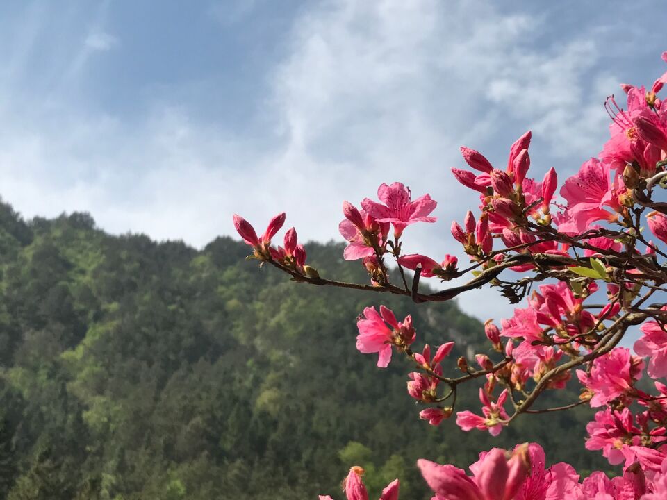 24931134453221349121447382710175504