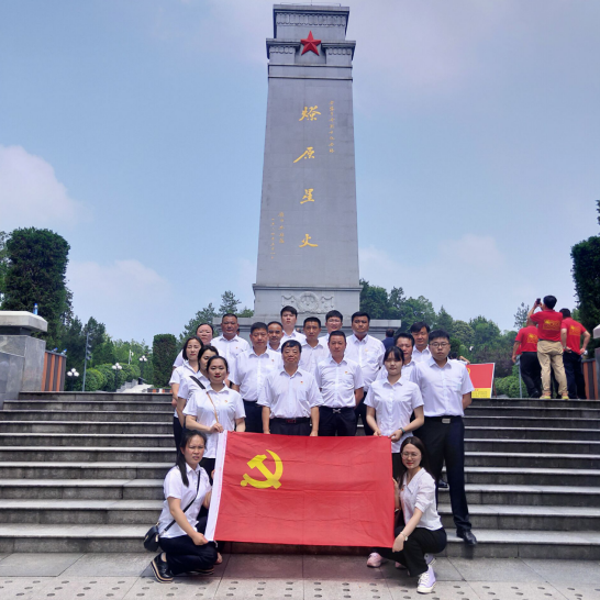 26510291924466234431635475036447333