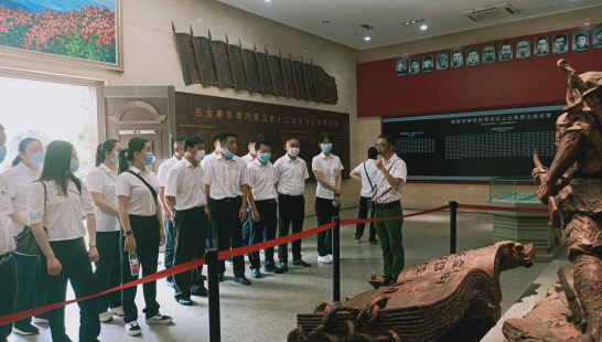 282224184721143520333798531481750270