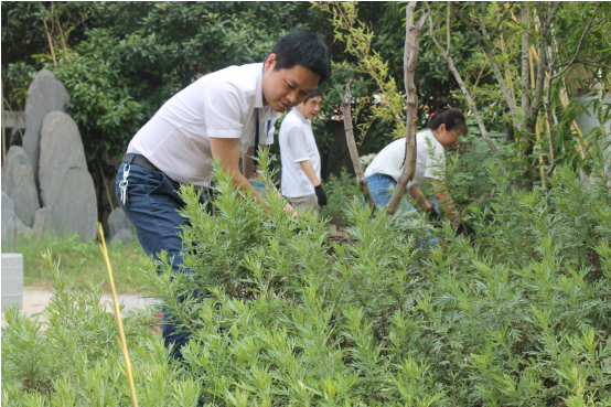 3035241461673643402224183450391348444