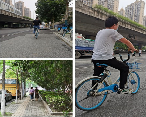 3140256244215351123904718112338332150