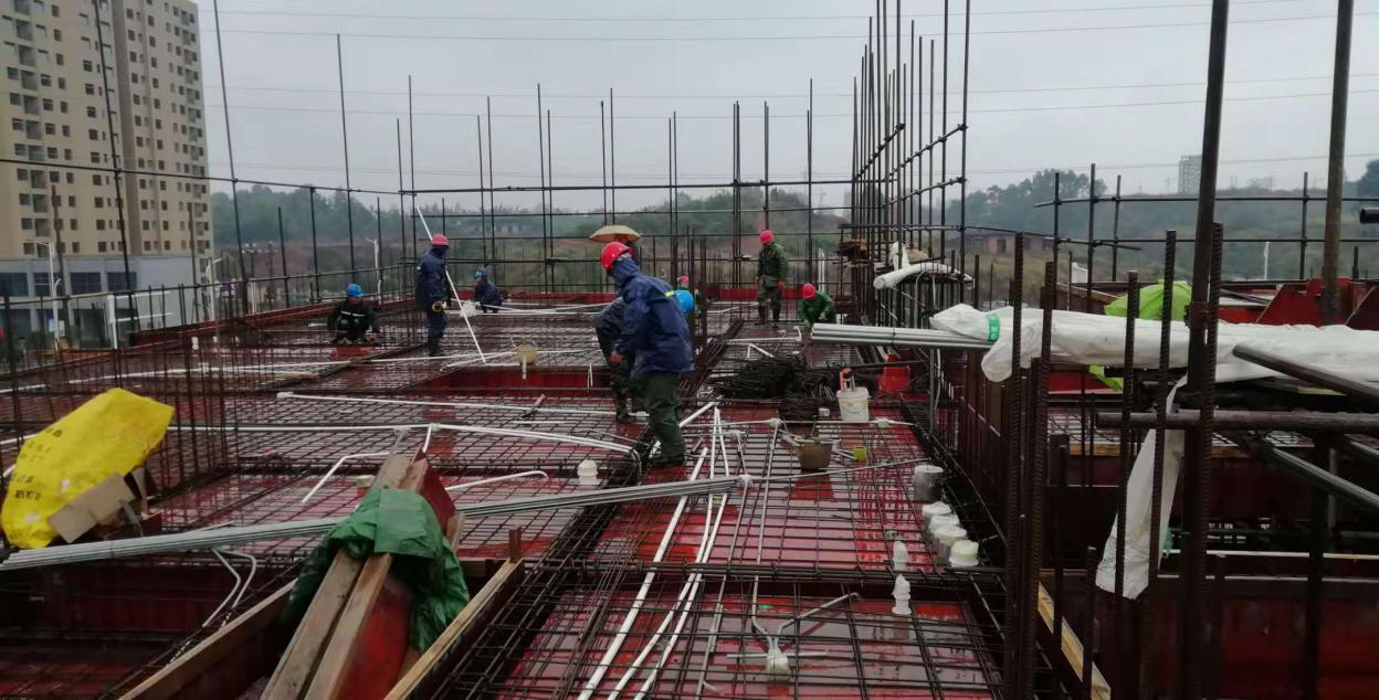 38318494041272210330281316254442352329