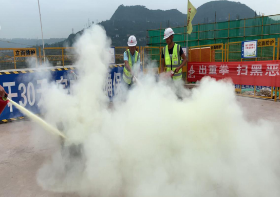 38433427351251619441281417254813501137