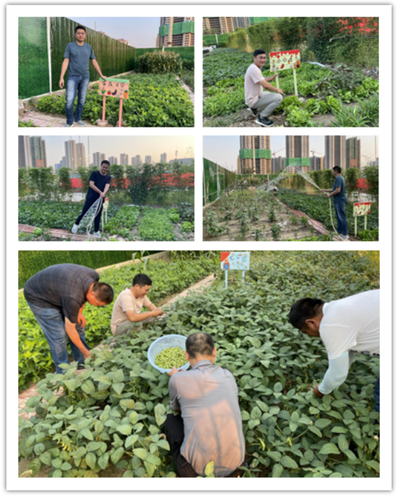 4022363746173016801042234945346194318