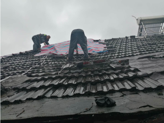 4245183627212512107302832403339801929