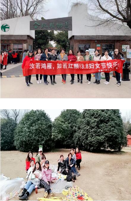 43011933412429236462593149211334847