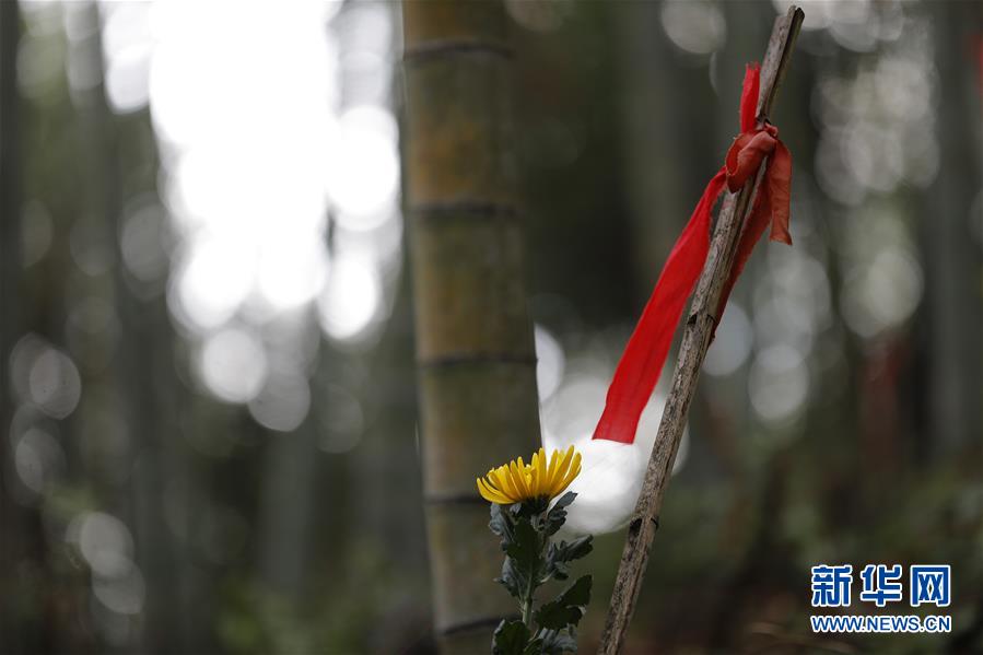 4313929283411332701418262037211744738