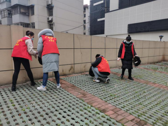 45212431403763533144622274350028292041