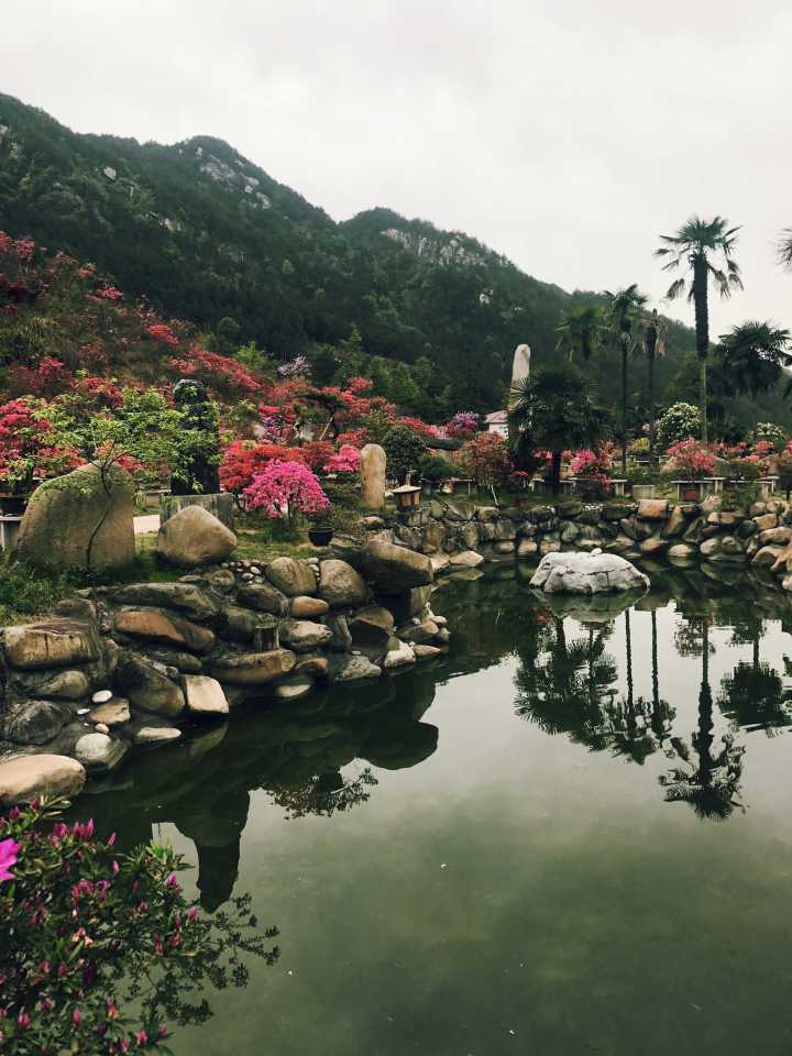 48252119202428414034313513322223332649