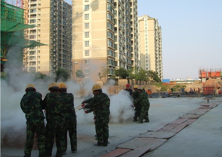 491134302532411327241674048213126281242