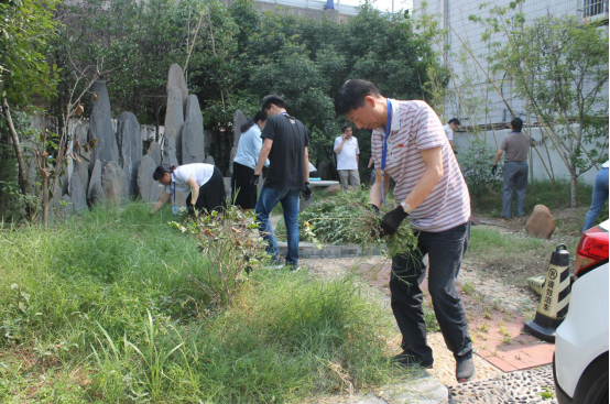 491245420193732212543735234126536638