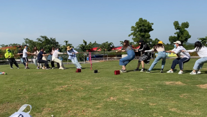 50344215491623240262847547192394529