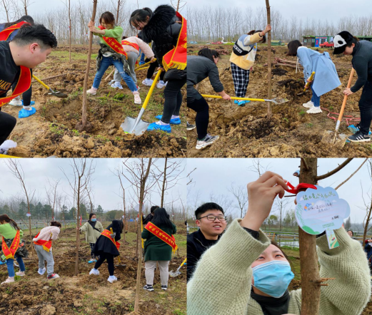 7453650824301128323132171534372591