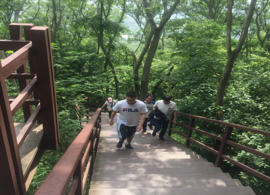 8422442349431537548173316313812352918