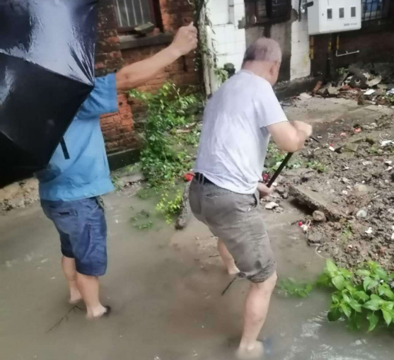 91128171031334565023494843426221450