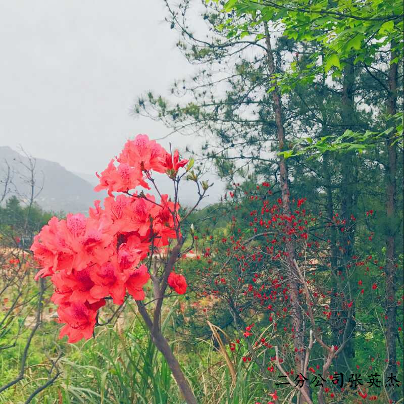 9352114624433132203014253603833391619