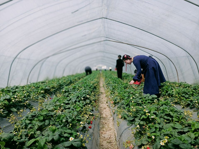 中国·KY开元(集团)股份有限公司-官方网站